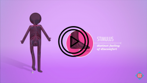 pain sensory nerves