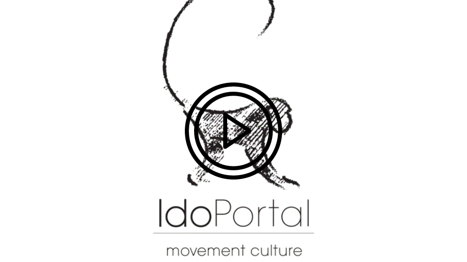 ido portal movement