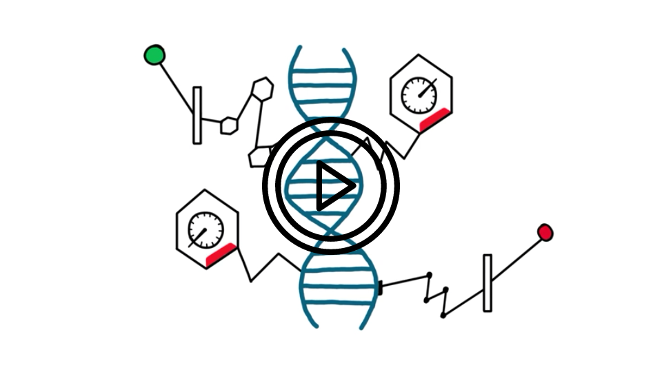 epigenetics